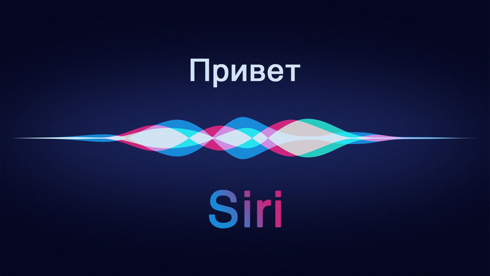 изображение,голосовой помощник,siri,google assistant