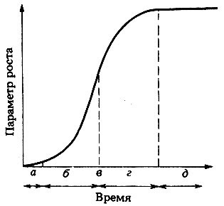 график, кривая, рост, анализ