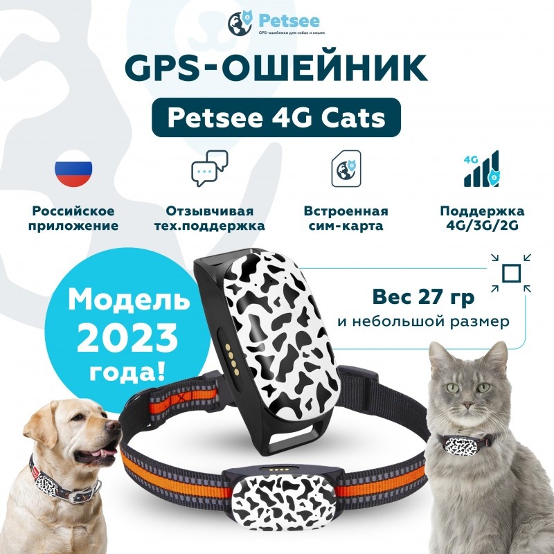 кот,ошейник,GPS-трекер,старый-смартфон