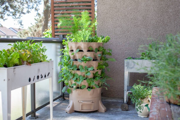 vertical garden, herbs, vegetables, balcony