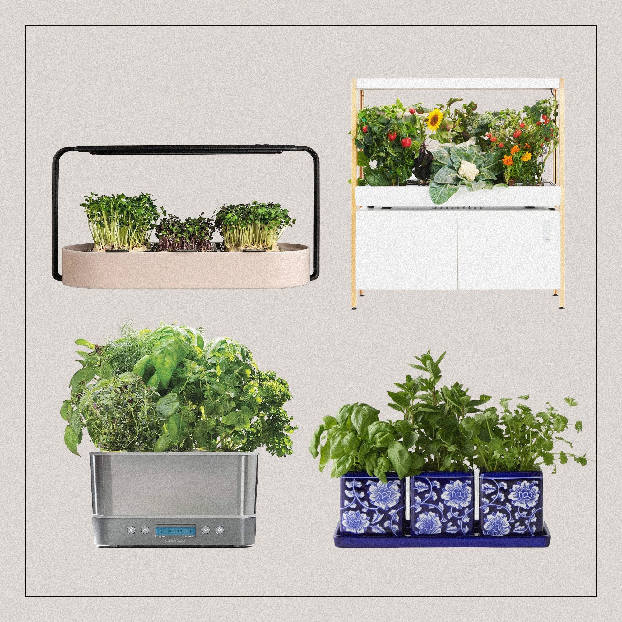 growing kit, microgreens, herbs, indoor garden