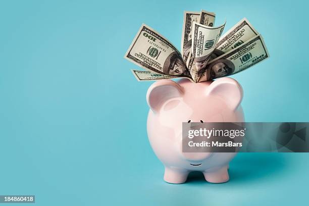 savings,money,piggybank
