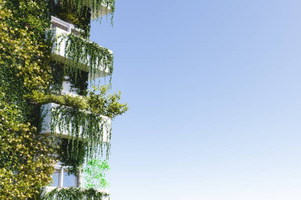 vertical garden,balcony,plants,summer,green