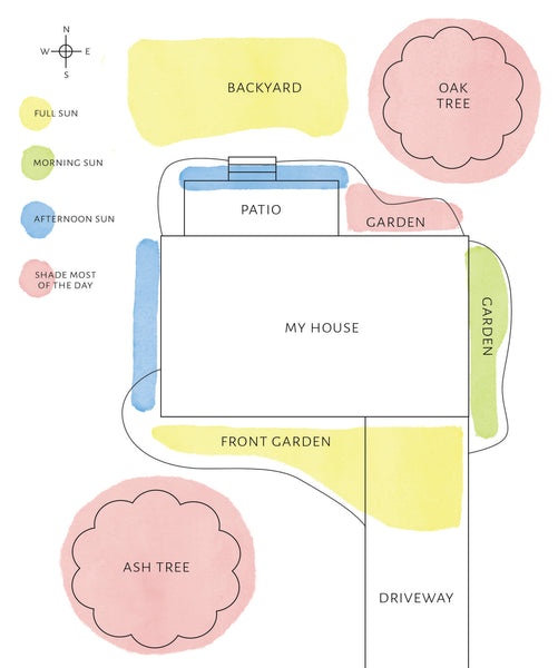 garden map, hand-drawn, showing sun and shade areas