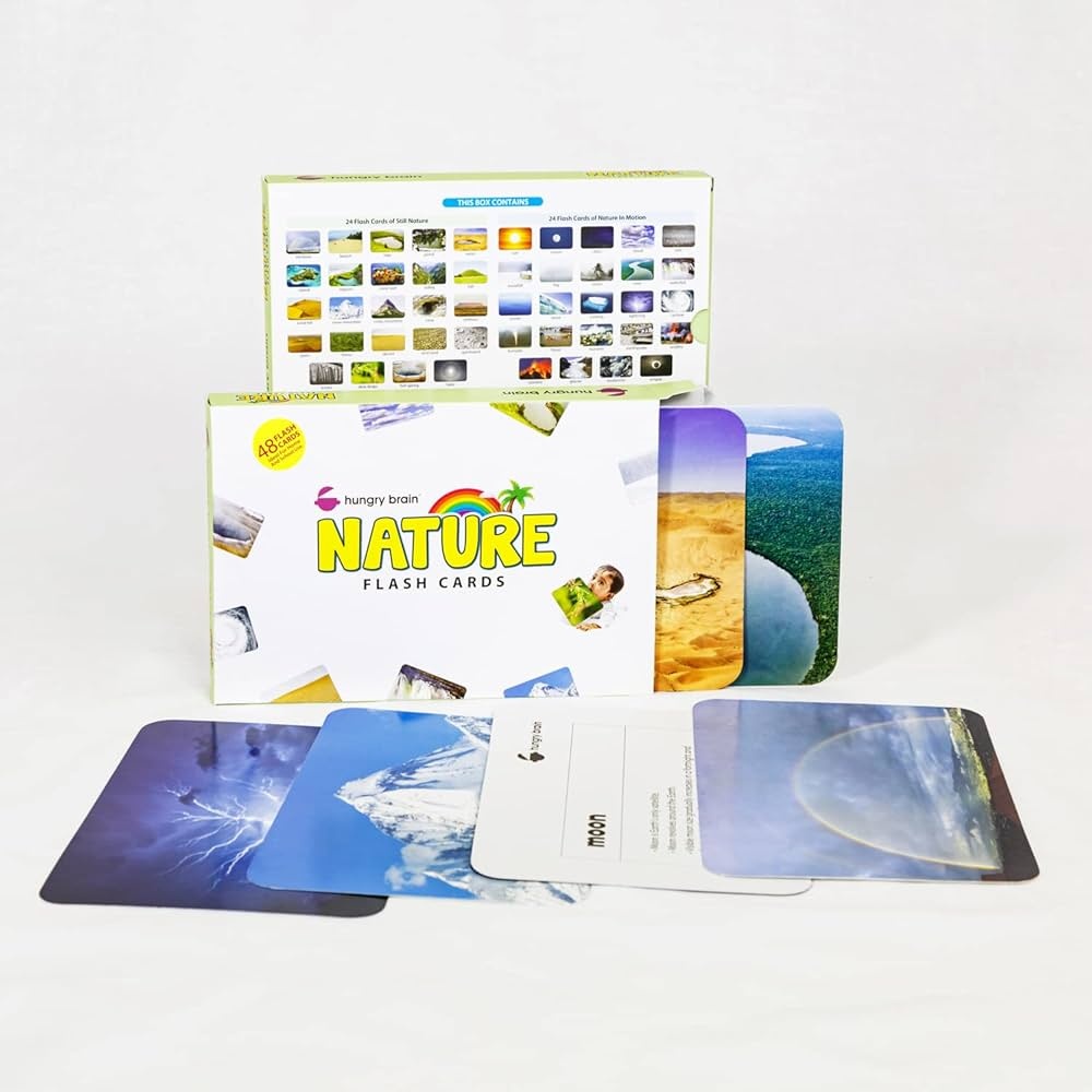 flashcards,language learning,sleep,memory
