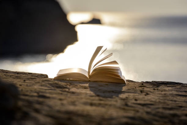 open book, sunlight, peaceful scene