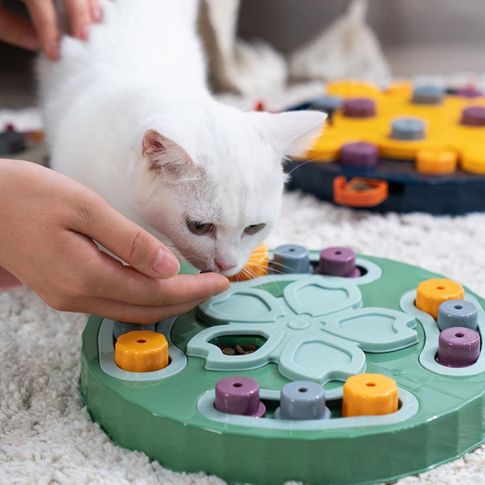 dog,cat,toy,puzzle,training