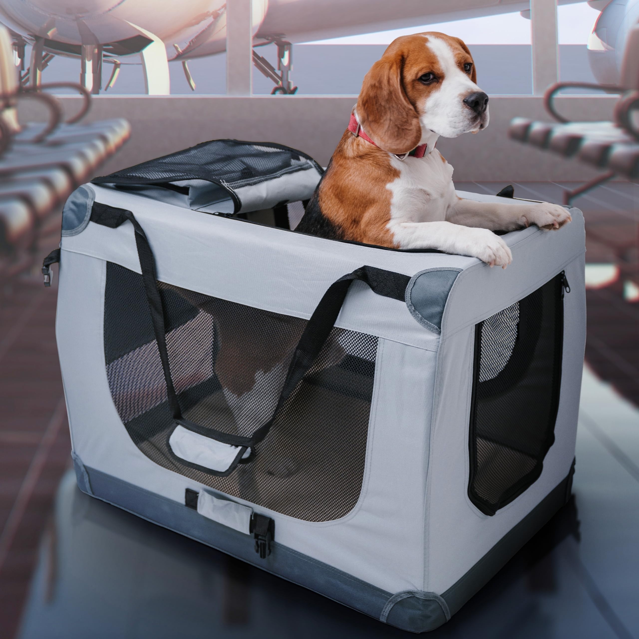 pet carrier,dog,cat,climate control,travel