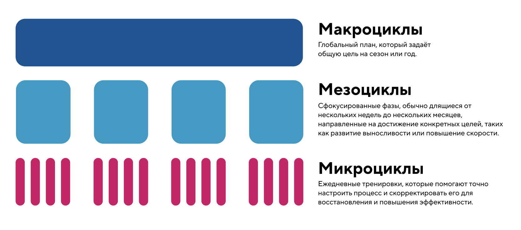 тренер, спортсмен, план, микроцикл