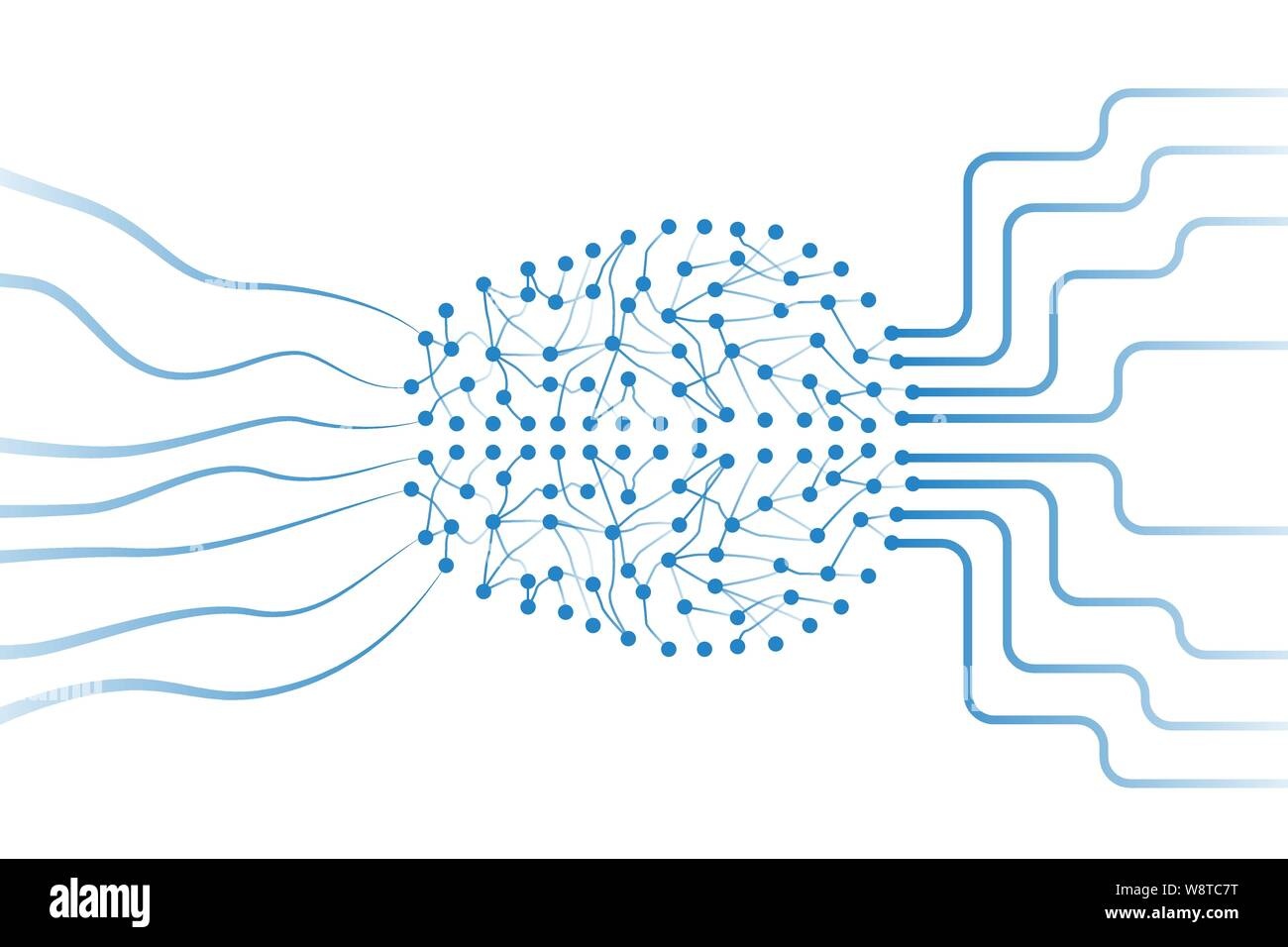 brain, connections, neural network