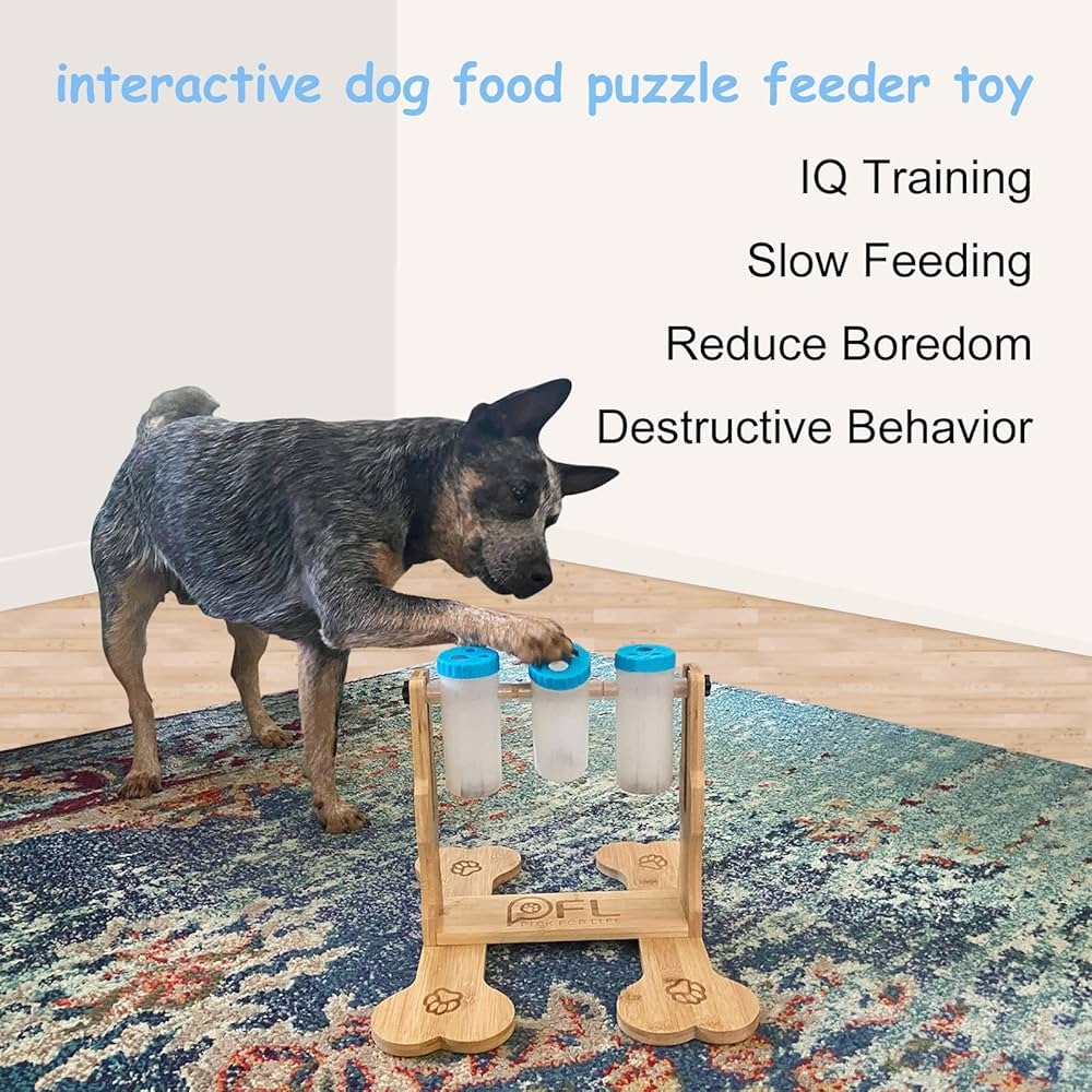 dog,puzzle,toy,feeding