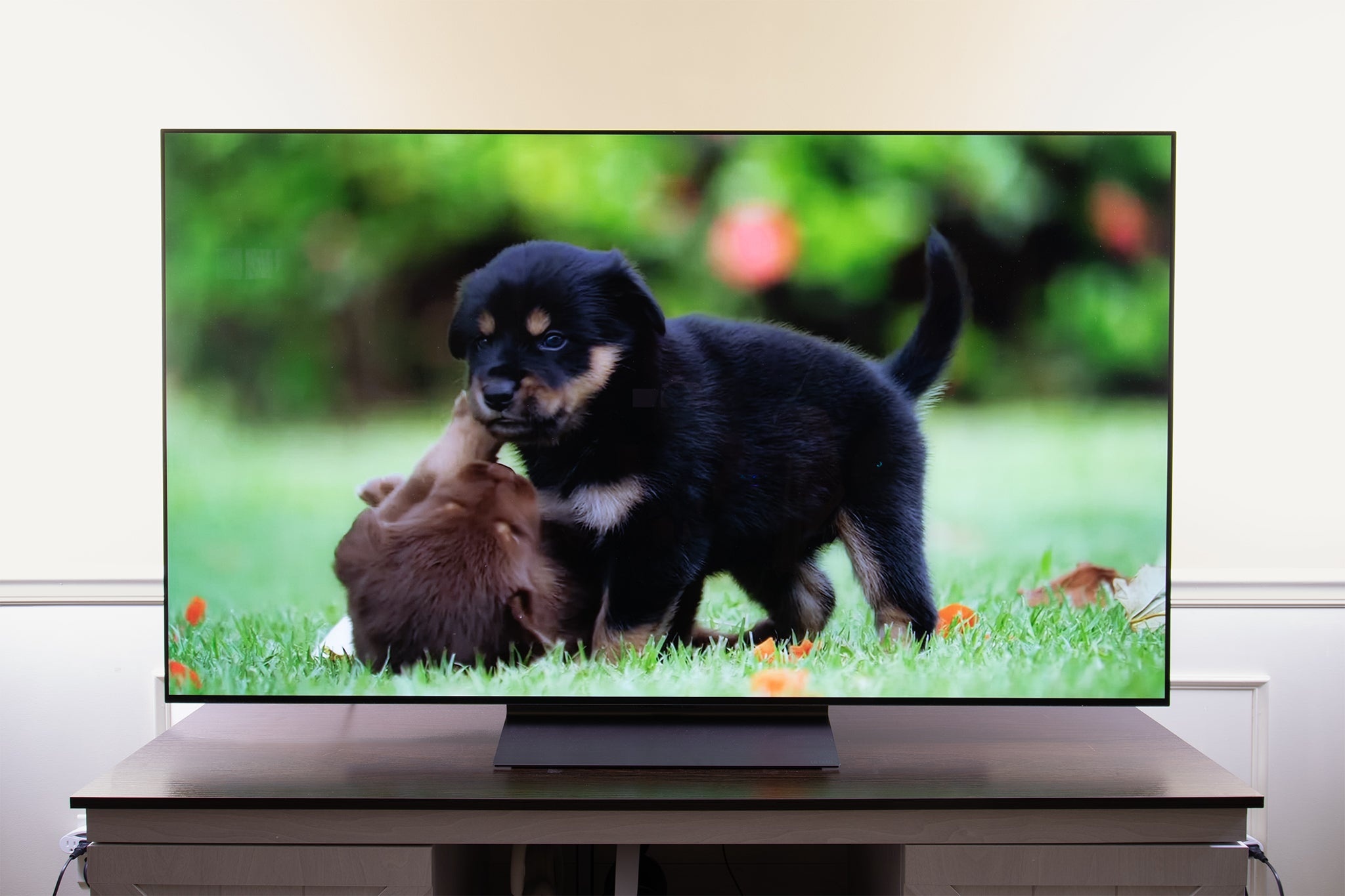 oled,tv,black,contrast,detail