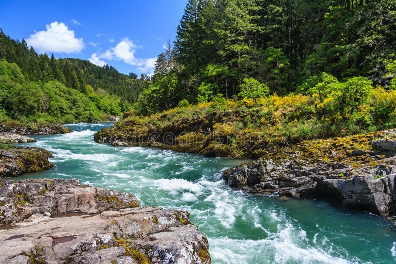 landscape,mountains,forest,river