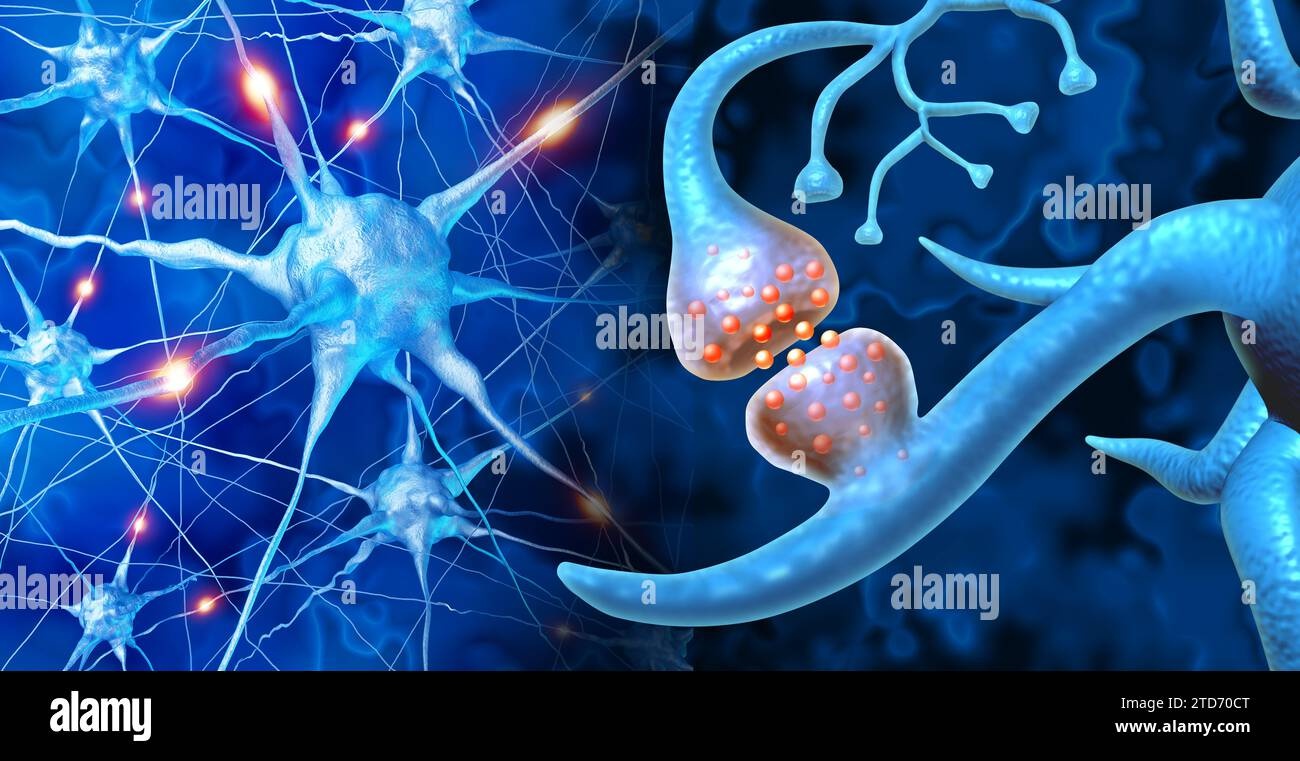 brain, neurons, synapse, learning