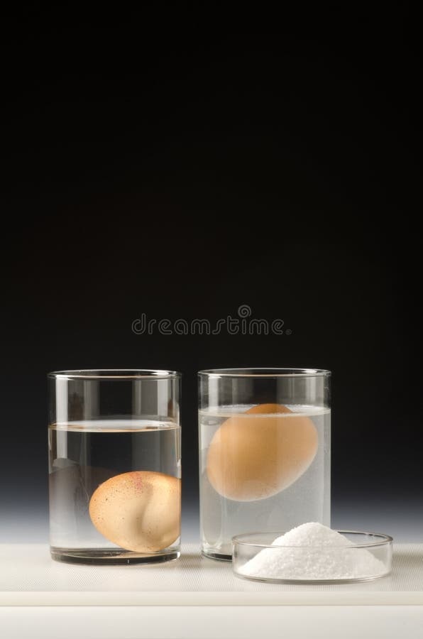 стакан,яйцо,вода,соль,плавание