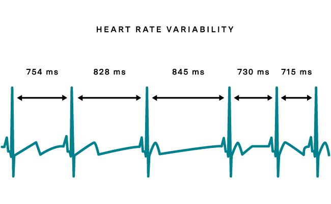 graph showing heart rate variability during breathing exercises