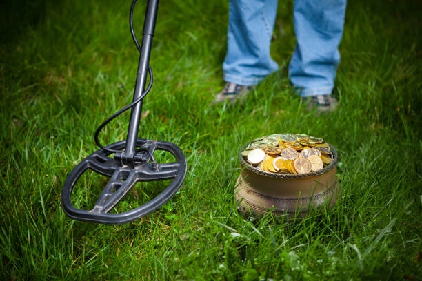 metal detector,field,grass,sunny