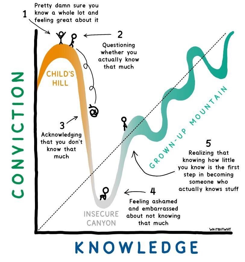 graph,dunning-kruger,confidence,competence