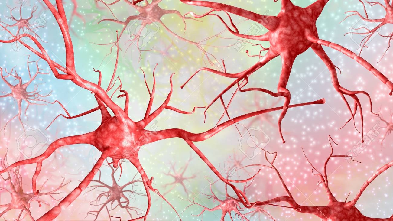 brain,neurons,synapses,abstract