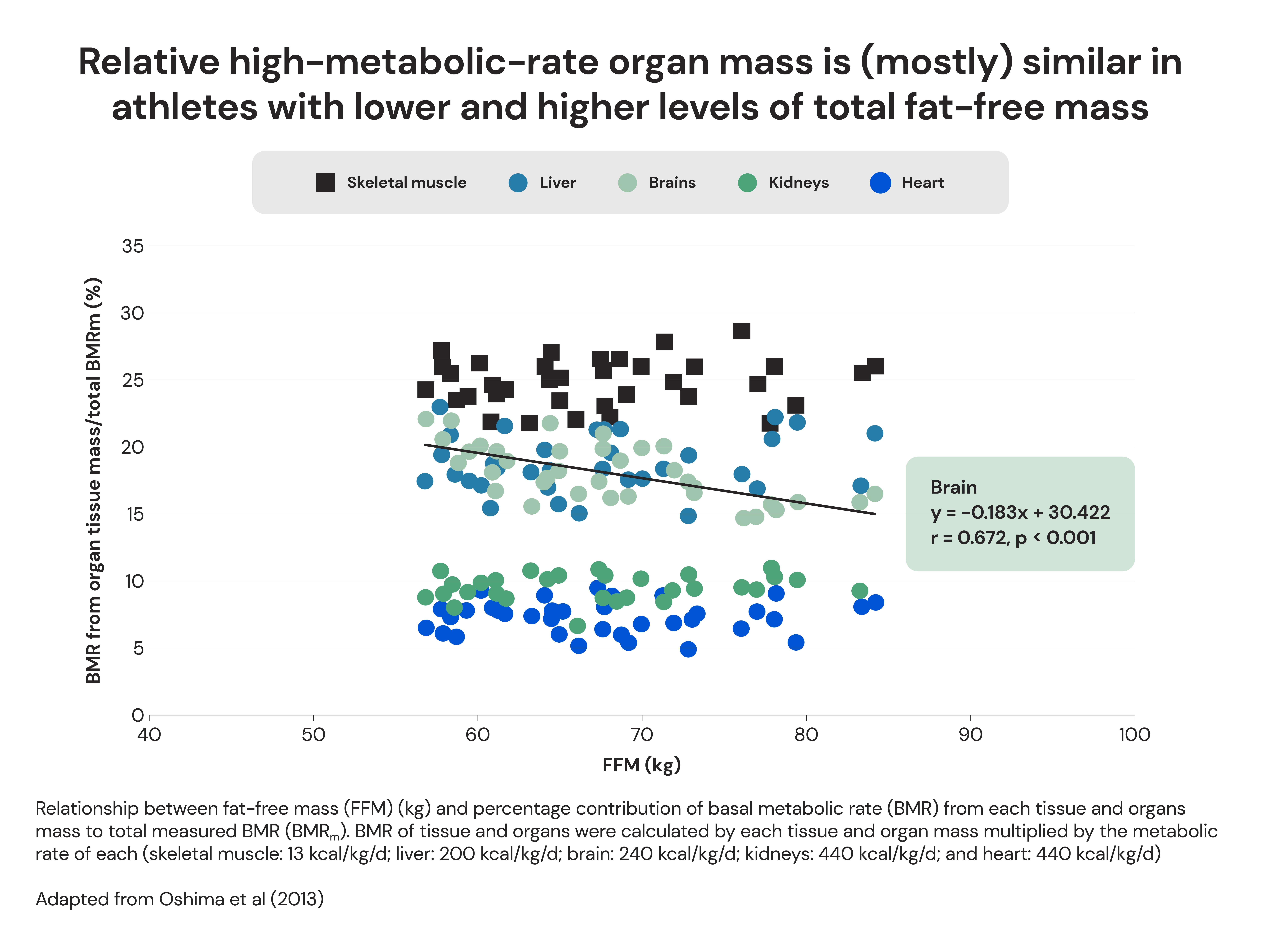 graph comparing BMR of person with high muscle mass vs low muscle mass