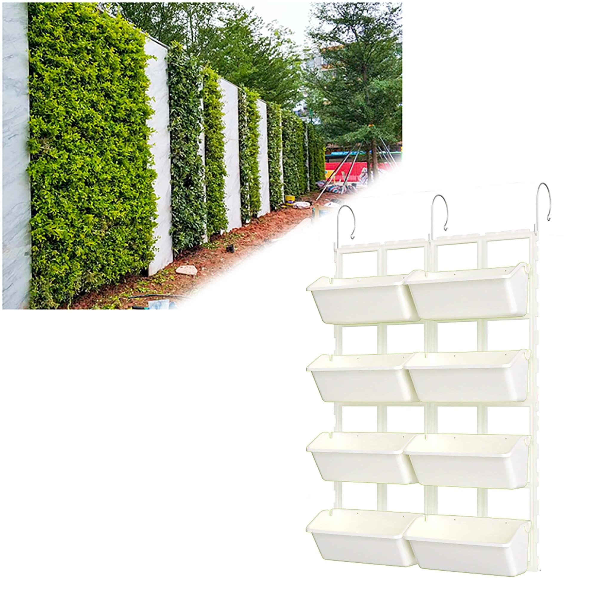 strawberries, vertical garden, balcony