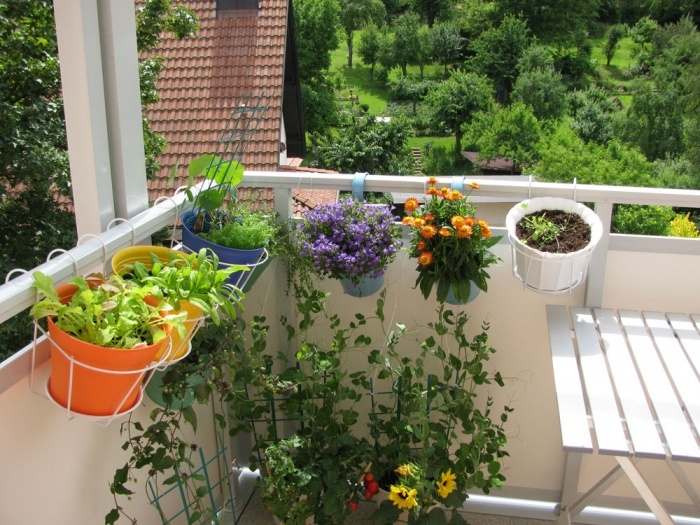 balcony,plants,watering,garden