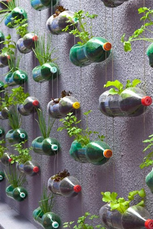 plastic bottles,vertical garden,plants,diy