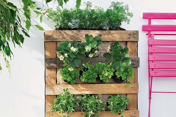 wooden pallets,vertical garden,plants,balcony