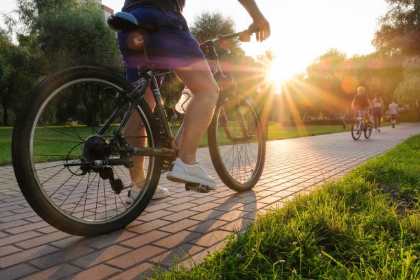 bicycle,city,travel,sunny