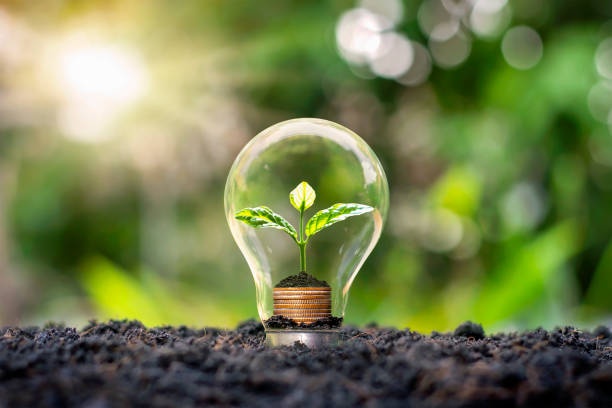 energy saving, lightbulb, green, sustainability