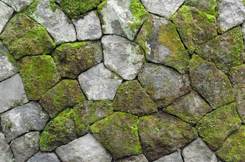 texture generation, neural network, stone, moss