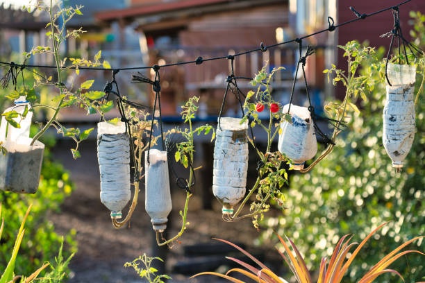 plastic bottles,garden,recycling,eco-friendly