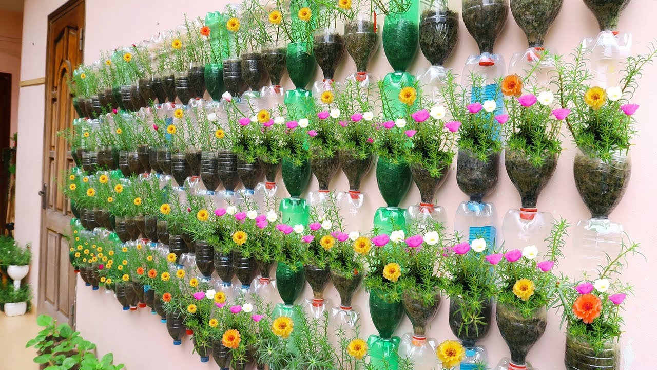 vertical garden,plastic bottles,hanging,garden