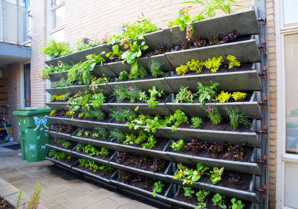 vertical garden,garden,plants,eco-friendly
