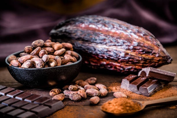 chocolate,dark chocolate,cocoa,beans