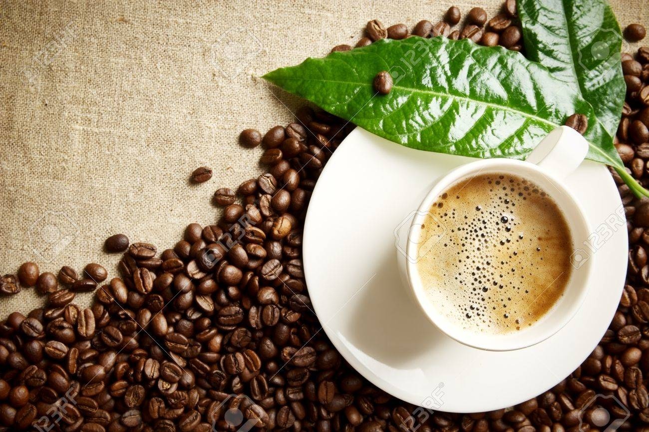 coffee,beans,cup,morning