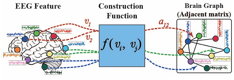 brain, neural network, emotions, connections