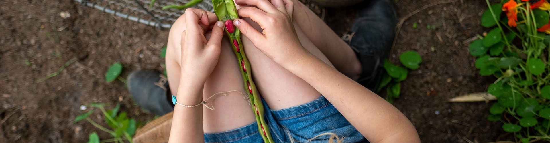 workaway,farm,volunteer,helping