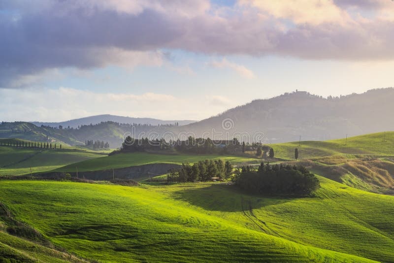 European landscape, rolling hills, vineyards, sunny day