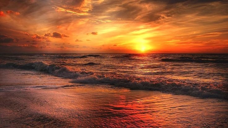 laptop,beach,sunset,travel