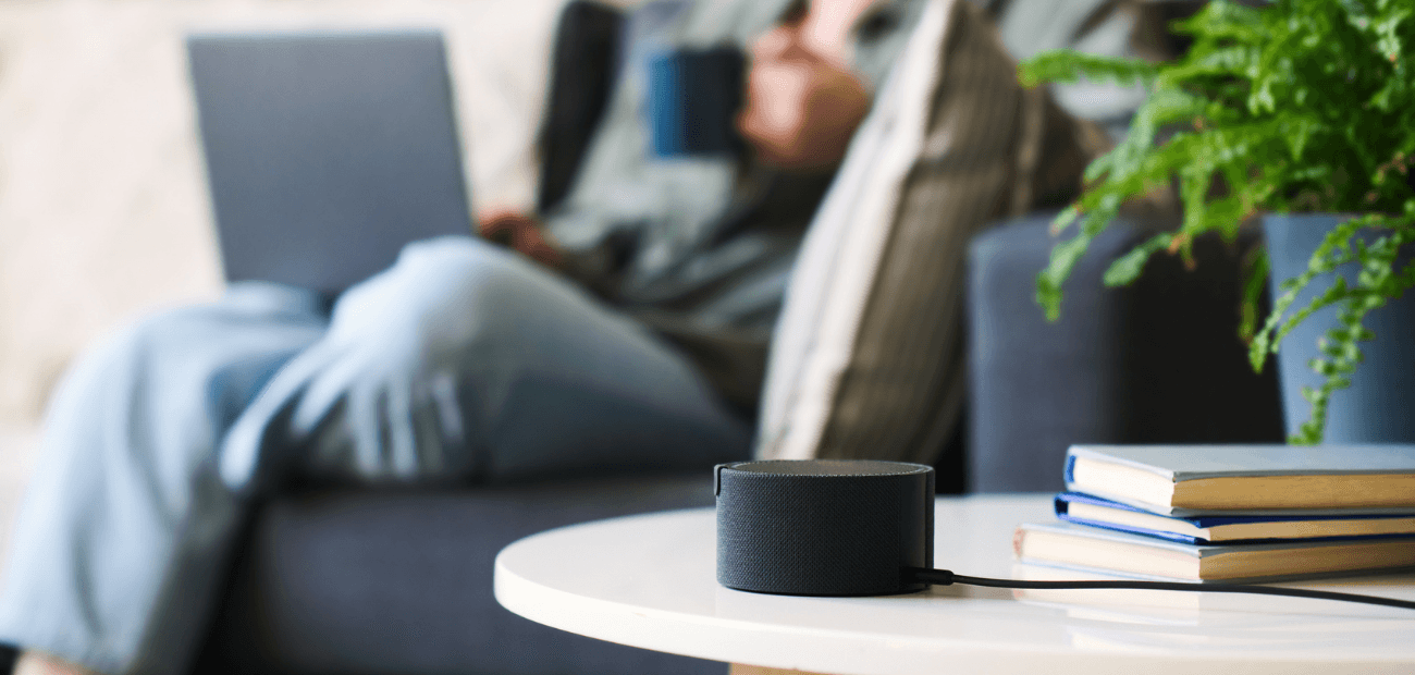 smart speaker, living room, privacy concerns
