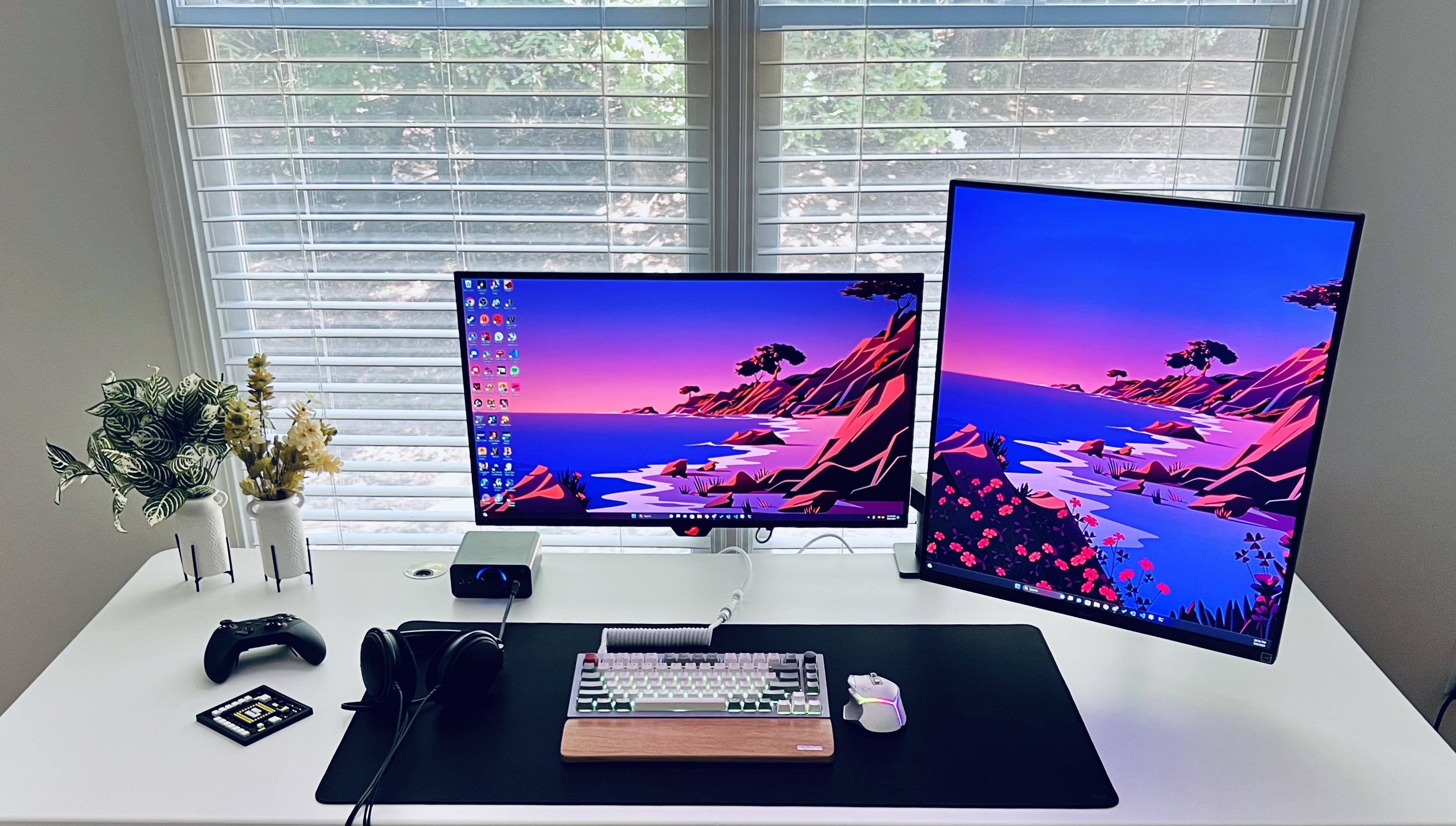 monitor,dual,PiP,productivity