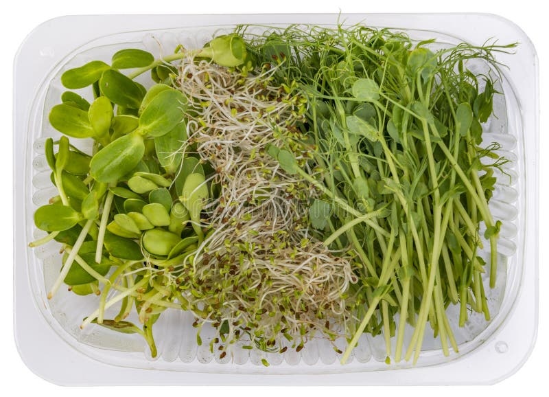 microgreens,sprouts,variety,healthy