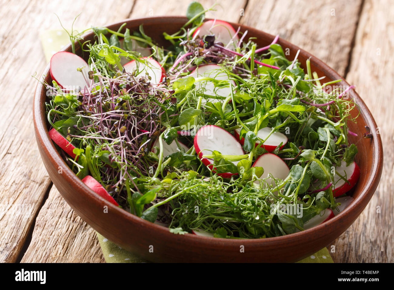 microgreens,salad,food,healthy