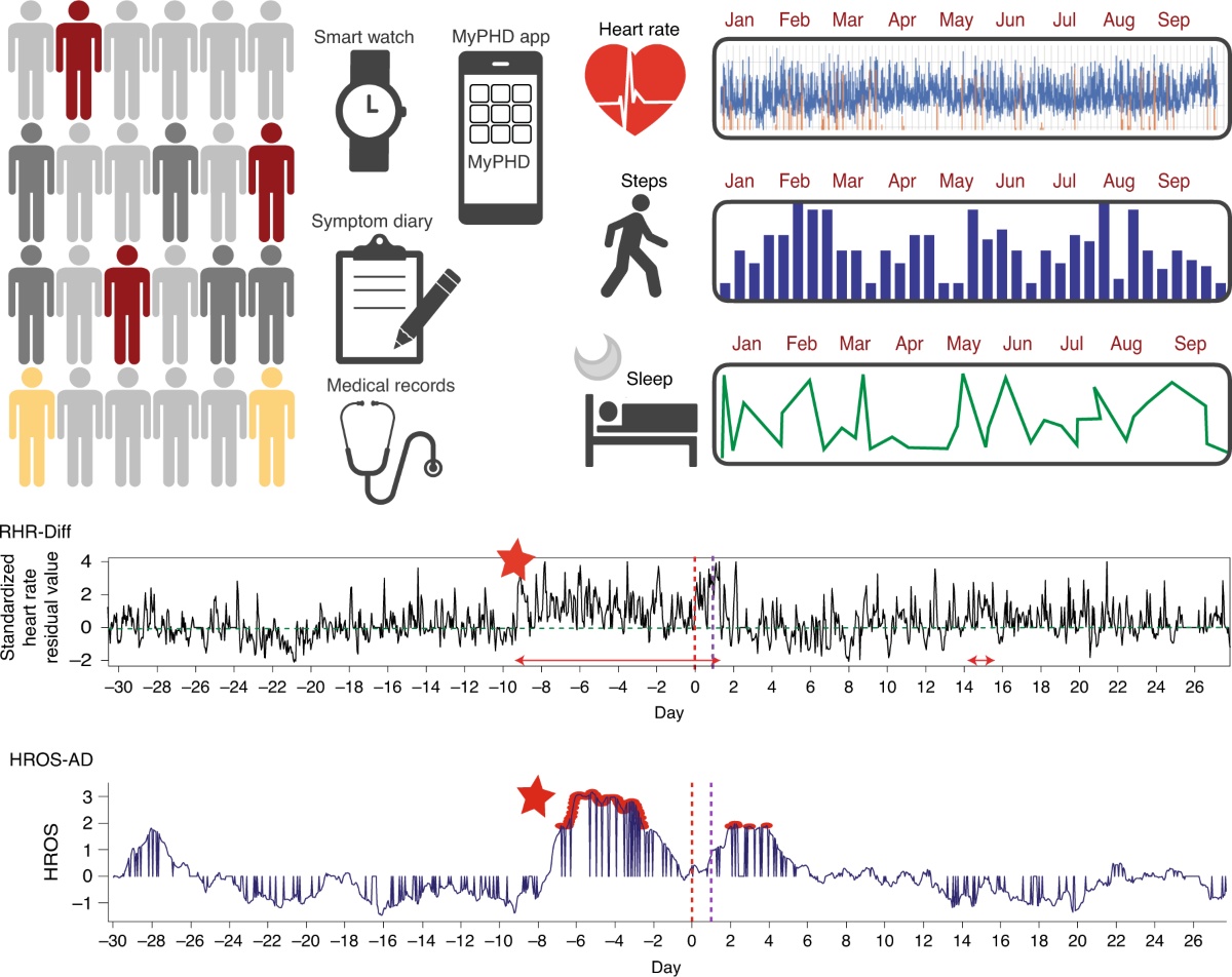 Smartwatch, data visualization, health metrics