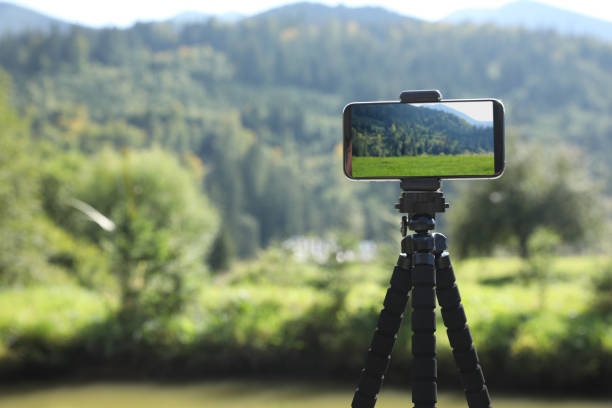 smartphone, tripod, nature, forest