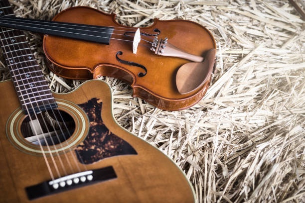 folk music instruments, guitar, violin, traditional music
