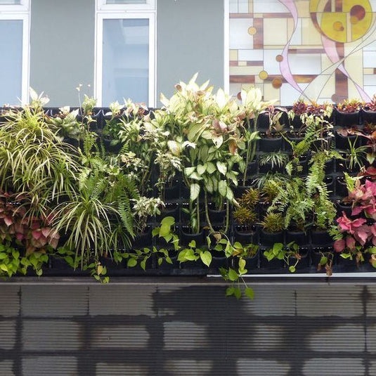 vertical garden,modules,plants,flowers,balcony