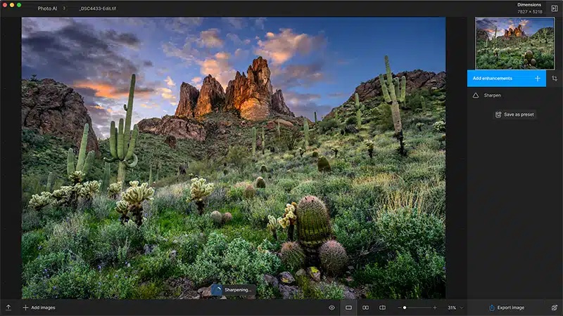Topaz Photo AI software interface, detailed settings