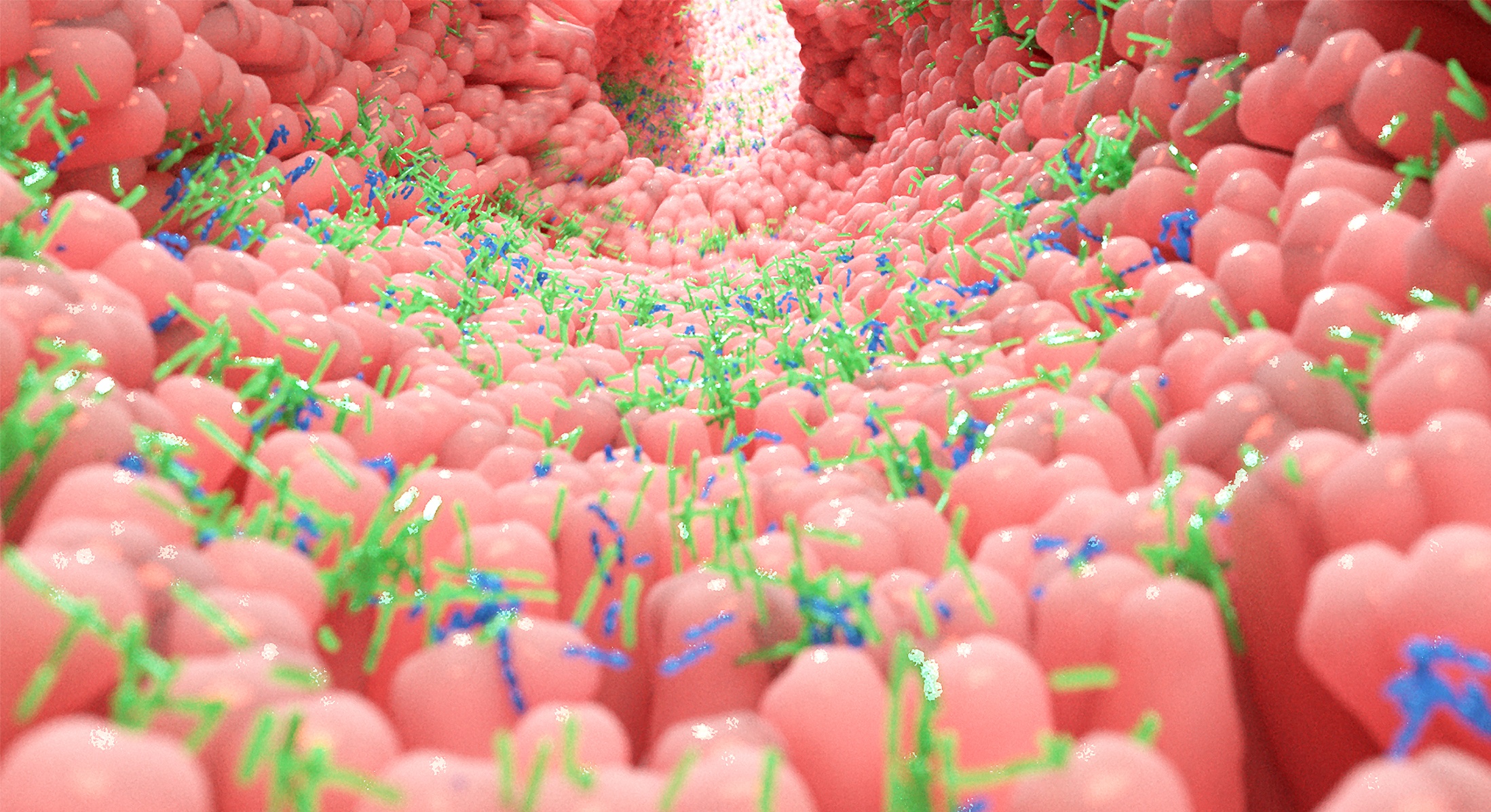 gut microbiome,bacteria,health,diversity